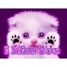Miss You